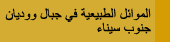 الموائل الطبيعية فى جبال و وديان جنوب سيناء