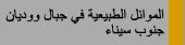 الموائل الطبيعية فى جبال و وديان جنوب سيناء