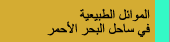 الموائل